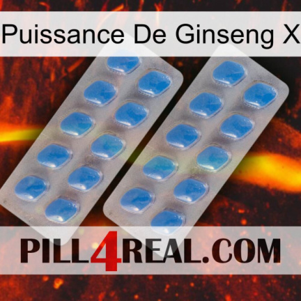Ginseng Power X 23